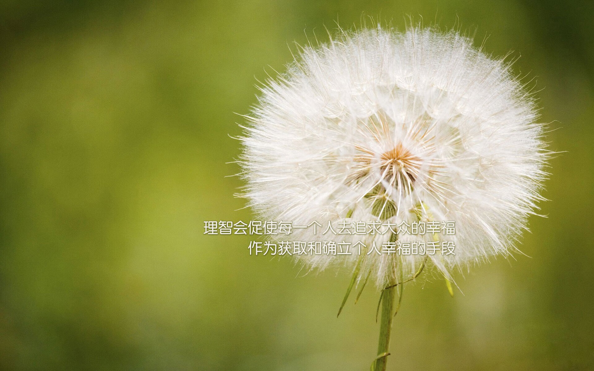 WRC：沿途风景与激烈竞争的完美结合
