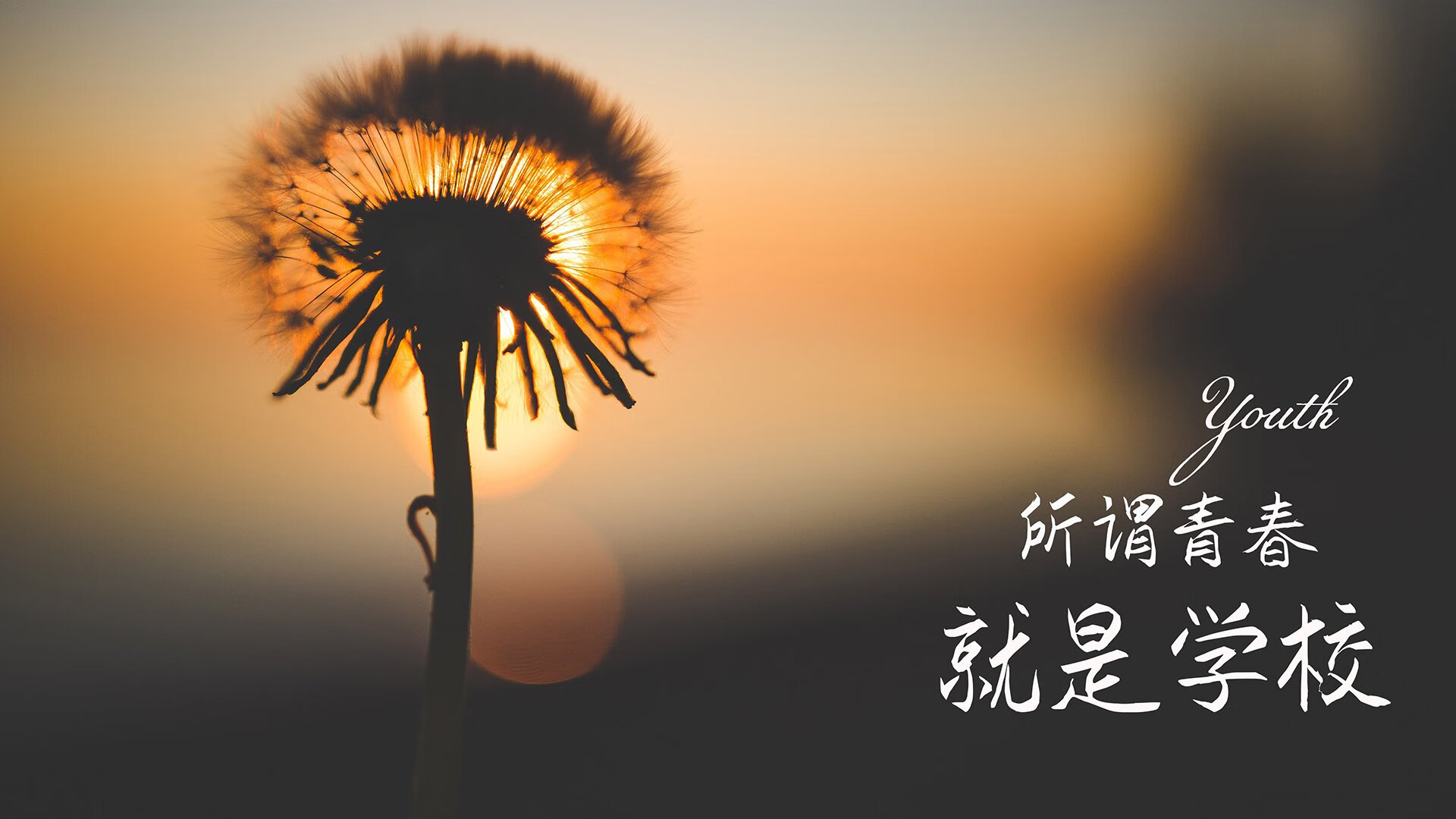 热刺后防线失误频频，需改进整体表现，热刺赛后