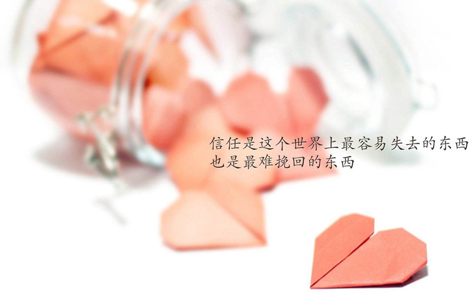 雄鹿堡球员团结一致，迎接比赛朝着胜利进发，雄鹿官方网站