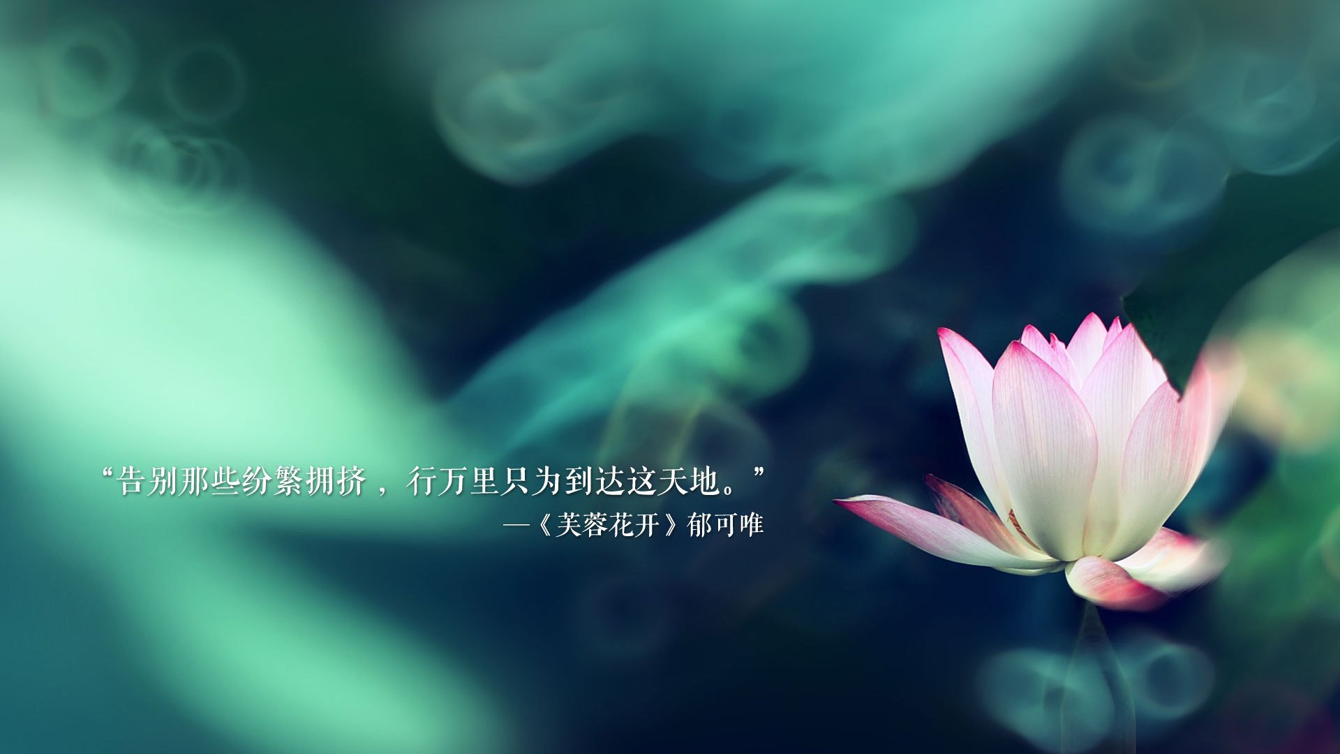 澳大利亚队：国际乒联混合团体世界杯表现超出预期，澳大利亚乒乓球名将